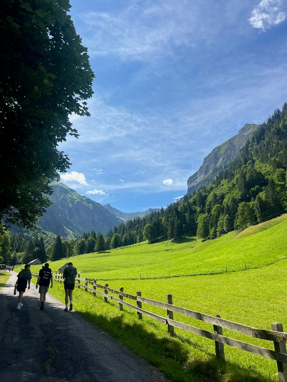 Hiking near Liechtenstein (Me in the middle with friends Kyle and Ryan)